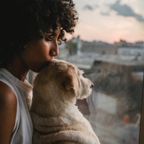 Lady with golden retriever dog looks out the window